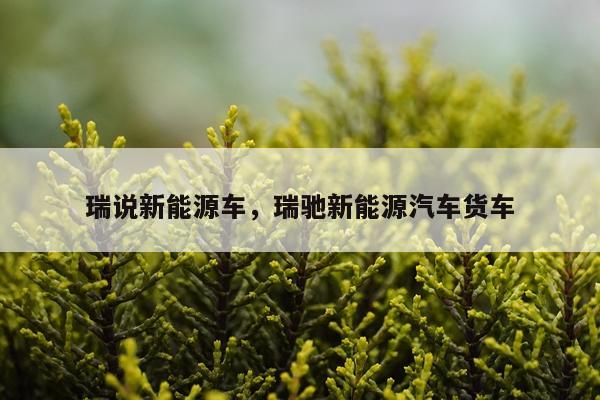 瑞说新能源车,瑞驰新能源汽车货车