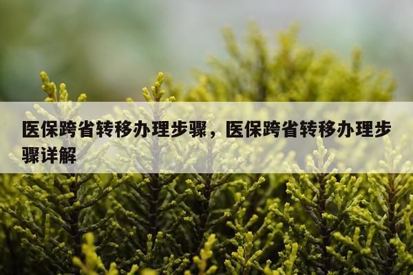 医保跨省转移办理步骤,医保跨省转移办理步骤详解