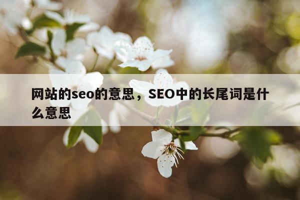 网站的seo的意思,SEO中的长尾词是什么意思