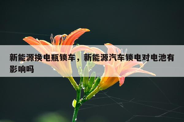 新能源换电瓶锁车,新能源汽车锁电对电池有影响吗