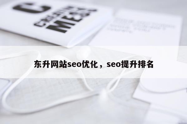 东升网站seo优化,seo提升排名