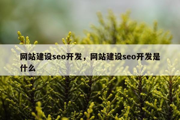 网站建设seo开发,网站建设seo开发是什么
