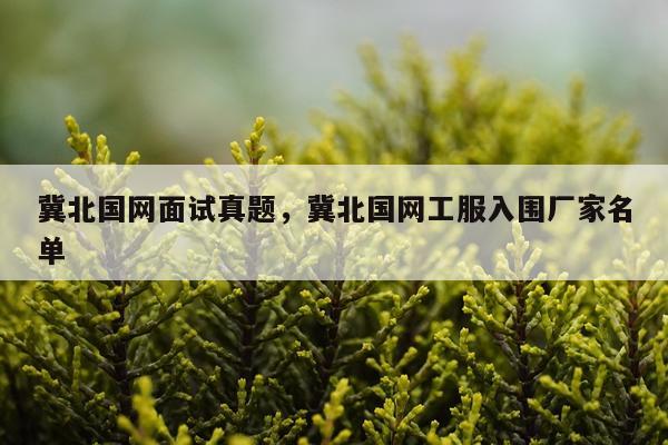 冀北国网面试真题,冀北国网工服入围厂家名单